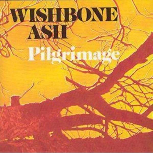 Wishbone Ash: WISHBONE ASH: Amazon.ca: Music